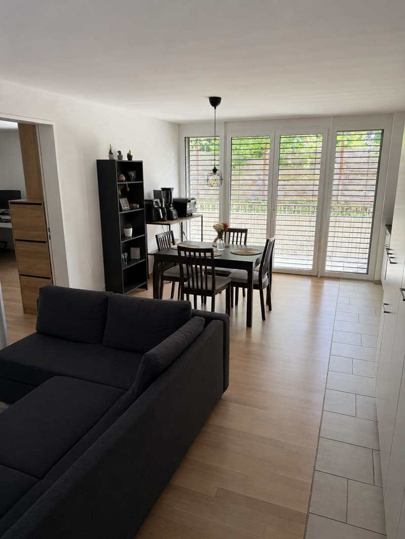 2 rooms apartment, 8330 Pfäffikon ZH (2)