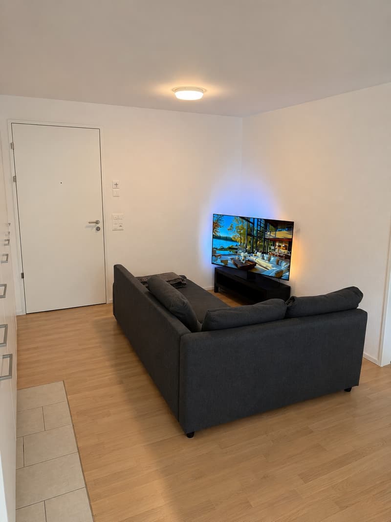 2 rooms apartment, 8330 Pfäffikon ZH (3)