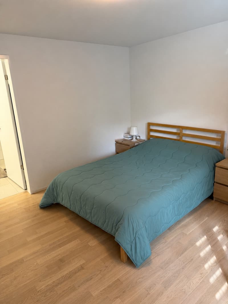 2 rooms apartment, 8330 Pfäffikon ZH (7)