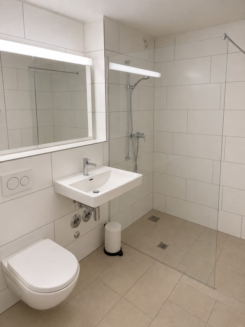 2 rooms apartment, 8330 Pfäffikon ZH (6)