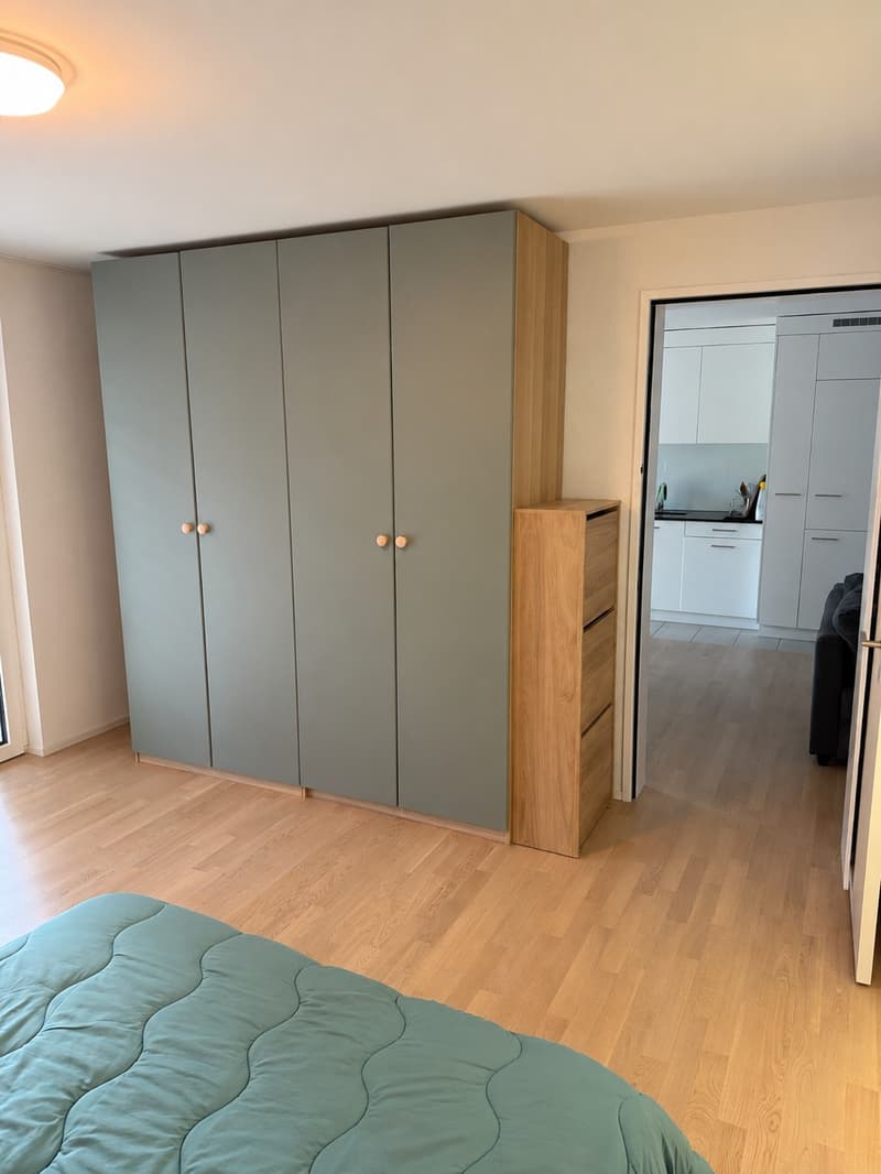 2 rooms apartment, 8330 Pfäffikon ZH (5)