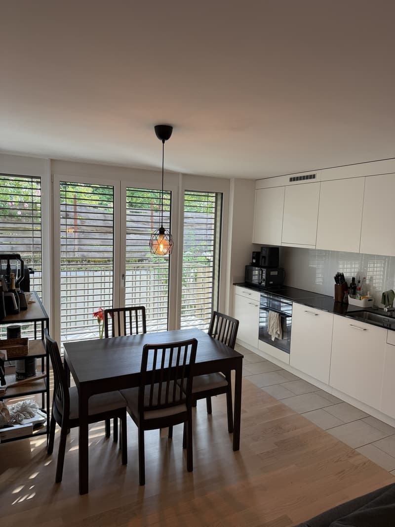 2 rooms apartment, 8330 Pfäffikon ZH (1)