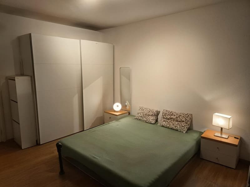 3 ½ rooms apartment, 8002 Zürich (3)
