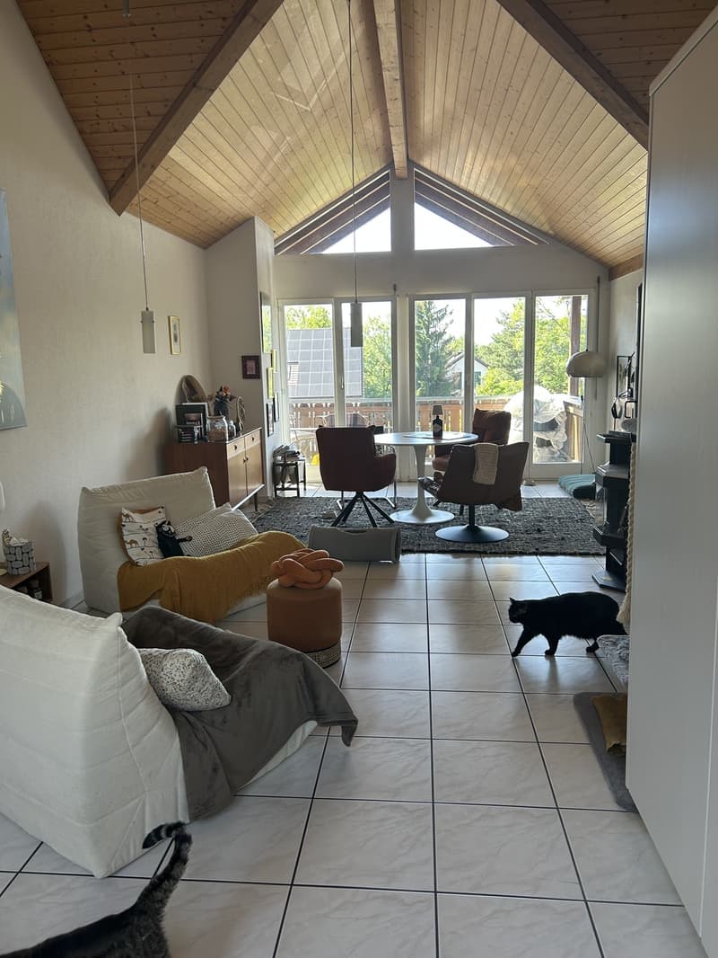 3 Zimmer-Wohnung, 5619 Büttikon (7)