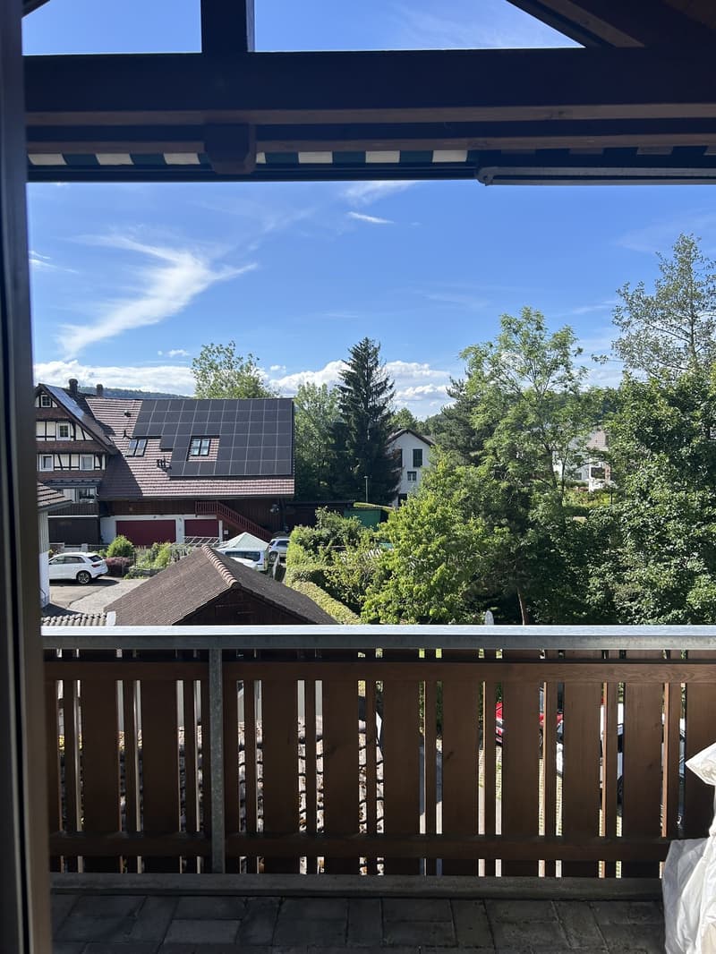 3 Zimmer-Wohnung, 5619 Büttikon (8)