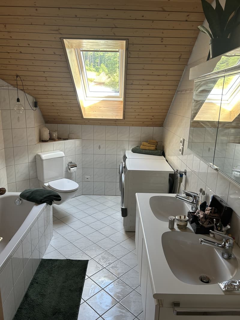 3 Zimmer-Wohnung, 5619 Büttikon (5)