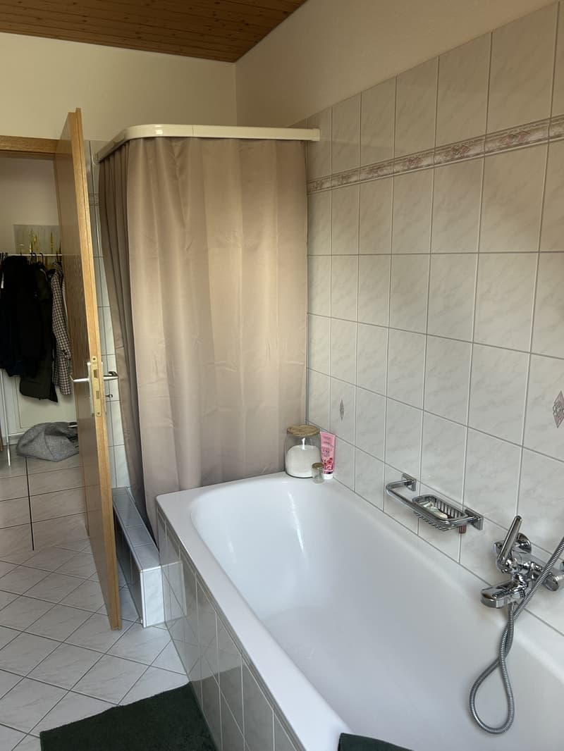 3 Zimmer-Wohnung, 5619 Büttikon (4)