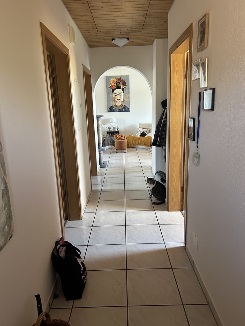 3 Zimmer-Wohnung, 5619 Büttikon (2)