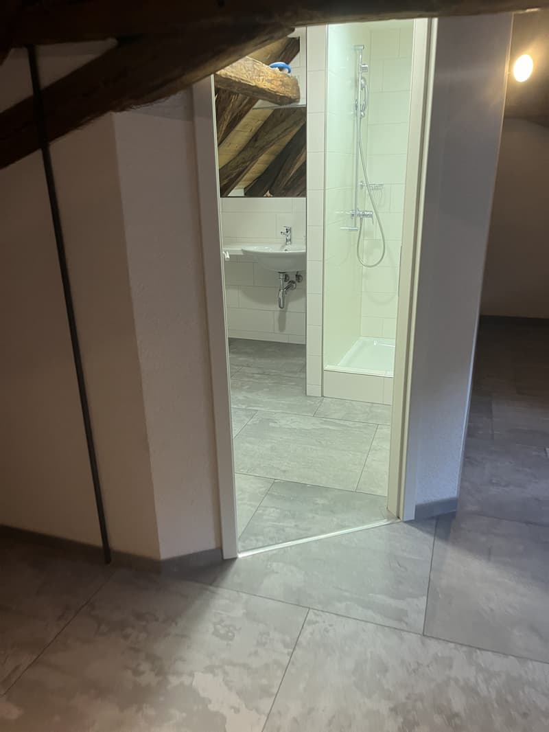 Einzigartiges 2.5-Zimmer Altstadt-Loft auf 3 Etagen in Bremgarten (10)