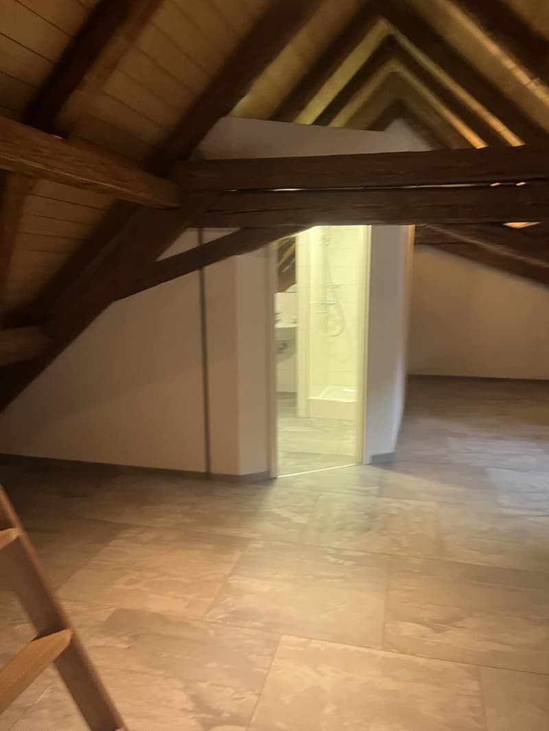Einzigartiges 2.5-Zimmer Altstadt-Loft auf 3 Etagen in Bremgarten (11)