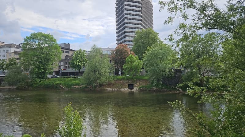 Schöne Wohnung in der Nähe von Limmatplatz (3)