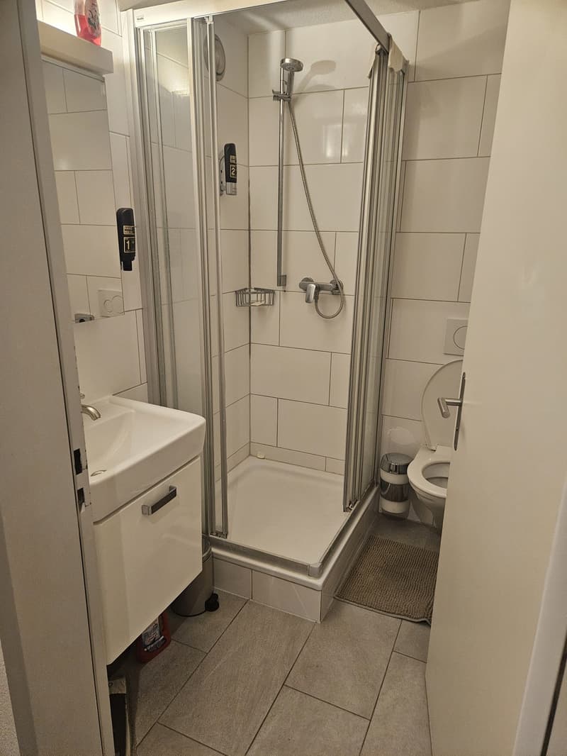 Schöne Wohnung in der Nähe von Limmatplatz (6)