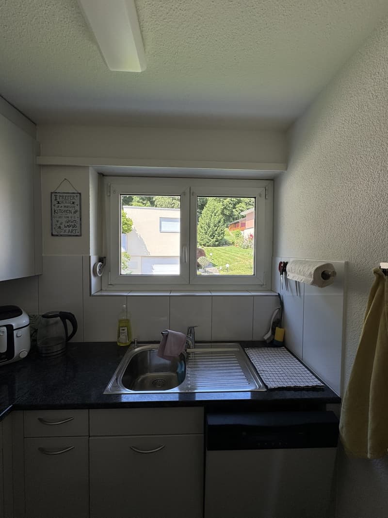 Appartement lumineux avec vue sur la vallée de la Limmat (9)