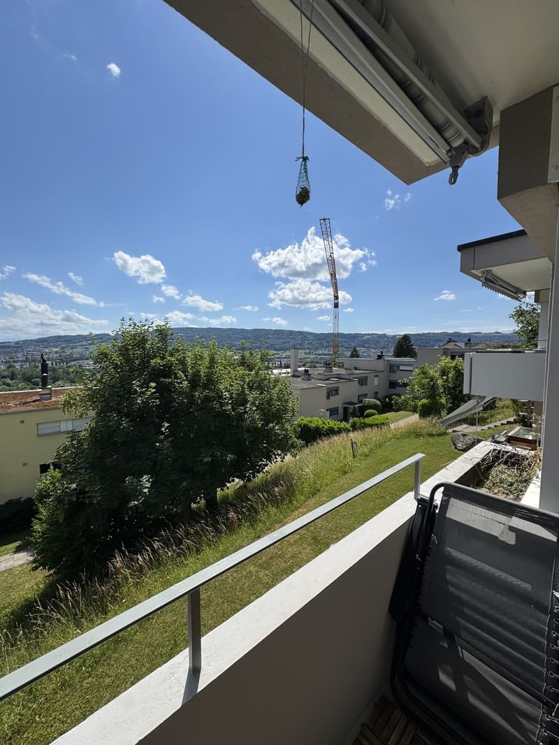 Appartement lumineux avec vue sur la vallée de la Limmat (3)