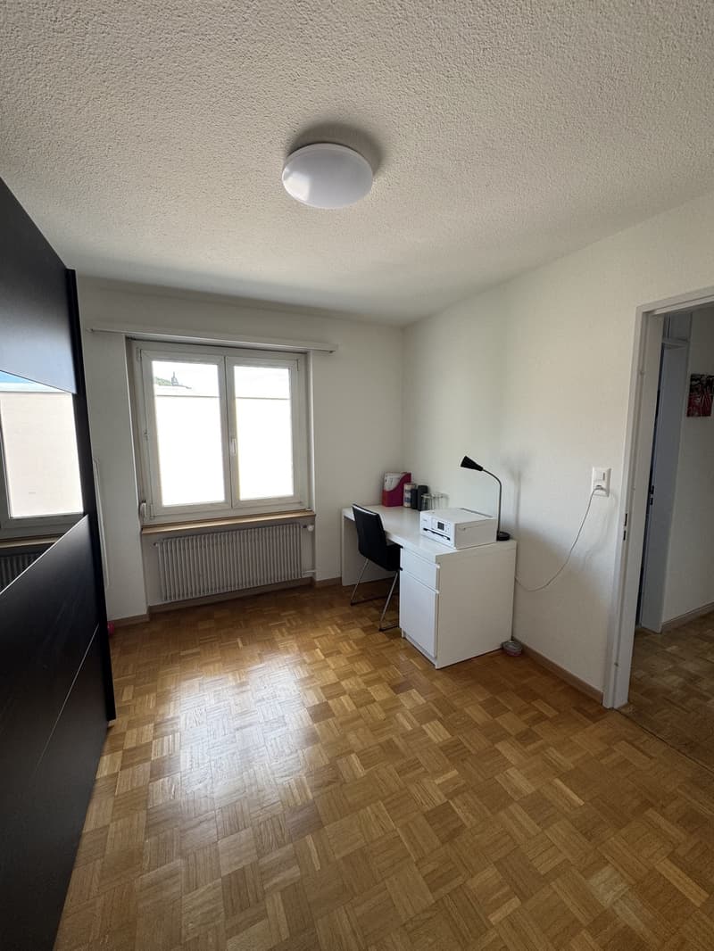 Appartement lumineux avec vue sur la vallée de la Limmat (13)