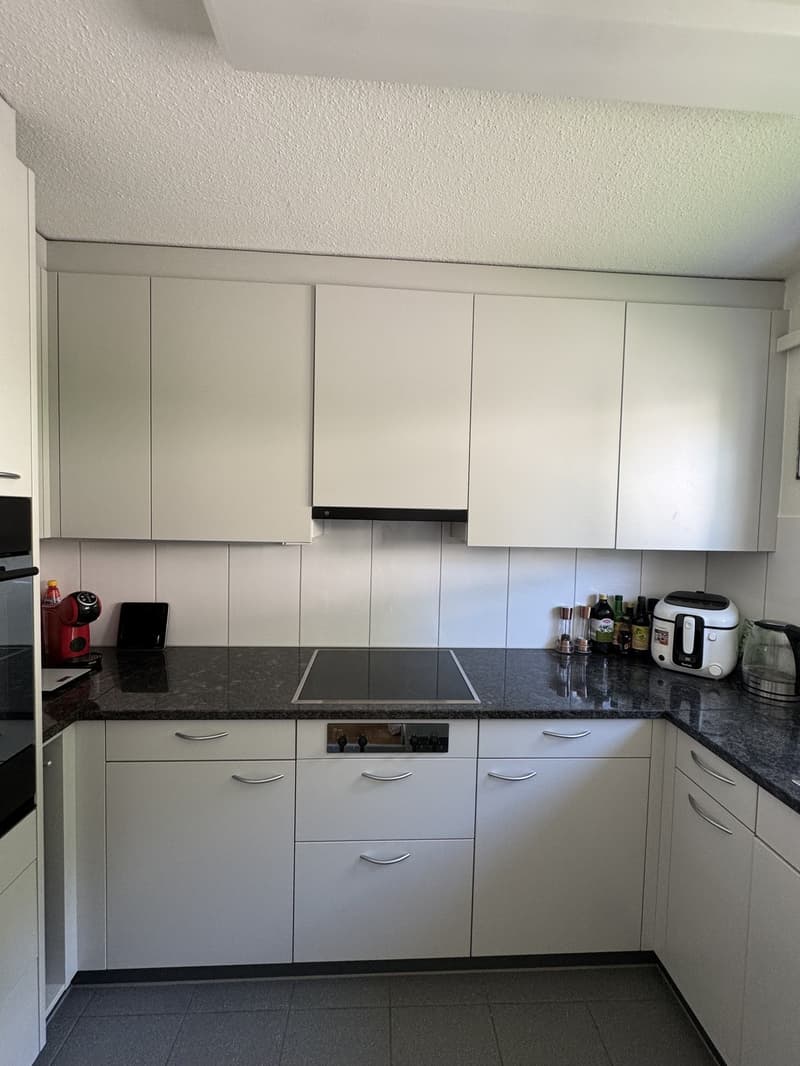 Appartement lumineux avec vue sur la vallée de la Limmat (8)