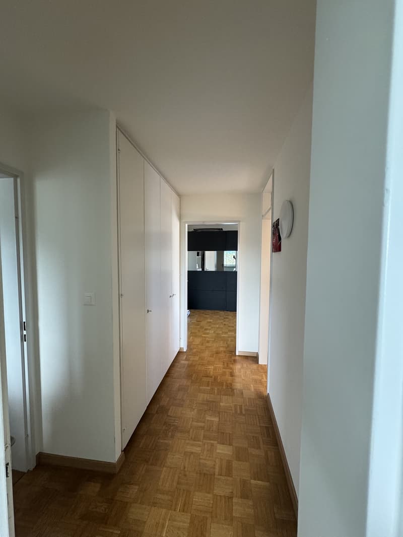 Appartement lumineux avec vue sur la vallée de la Limmat (11)