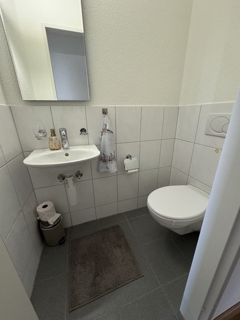 Appartement lumineux avec vue sur la vallée de la Limmat (5)
