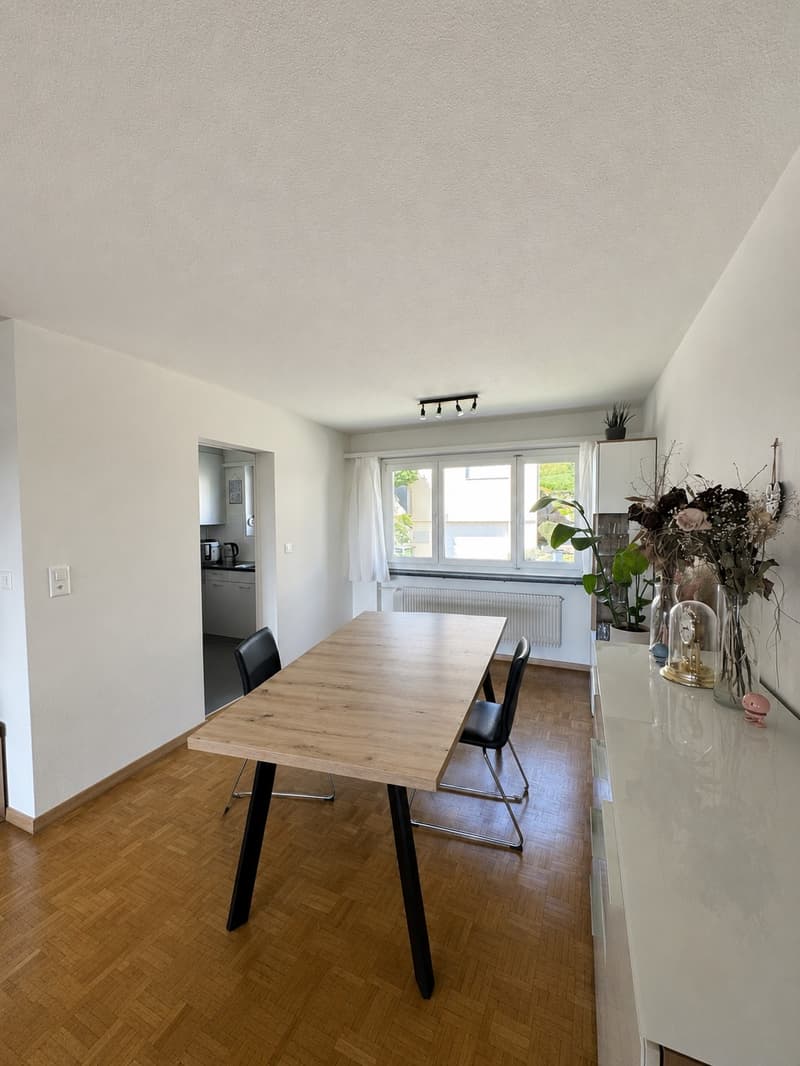 Appartement lumineux avec vue sur la vallée de la Limmat (7)