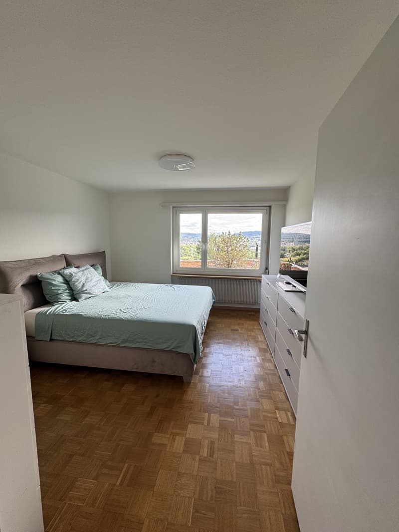 Appartement lumineux avec vue sur la vallée de la Limmat (10)