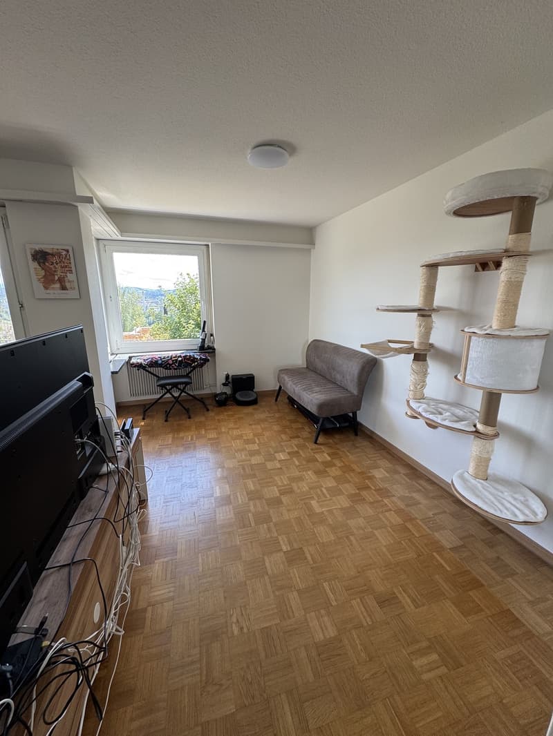 Appartement lumineux avec vue sur la vallée de la Limmat (4)