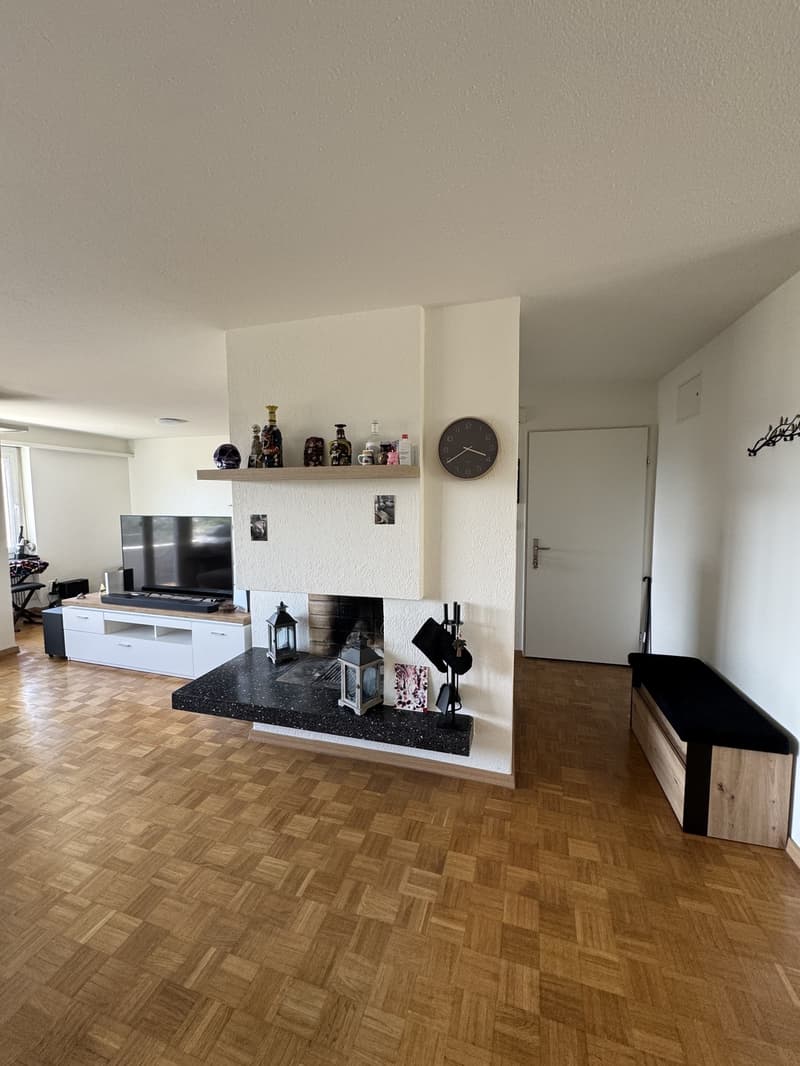 Appartement lumineux avec vue sur la vallée de la Limmat (6)
