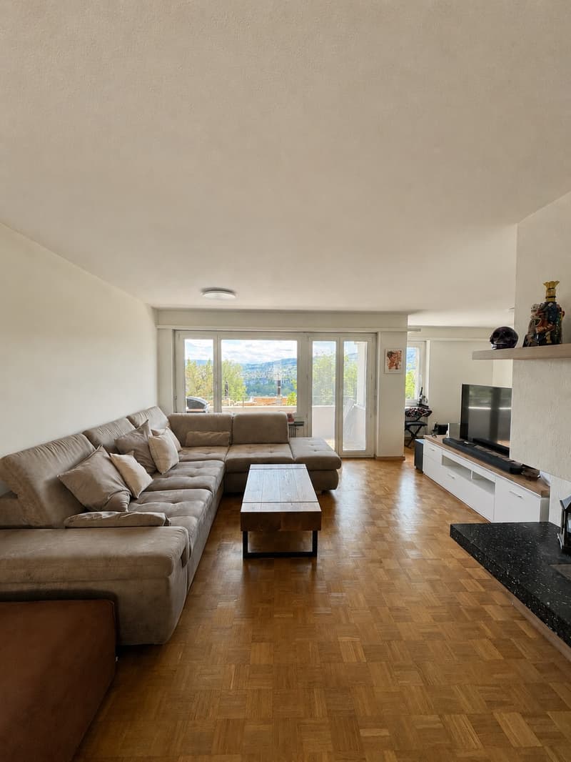 Appartement lumineux avec vue sur la vallée de la Limmat (1)