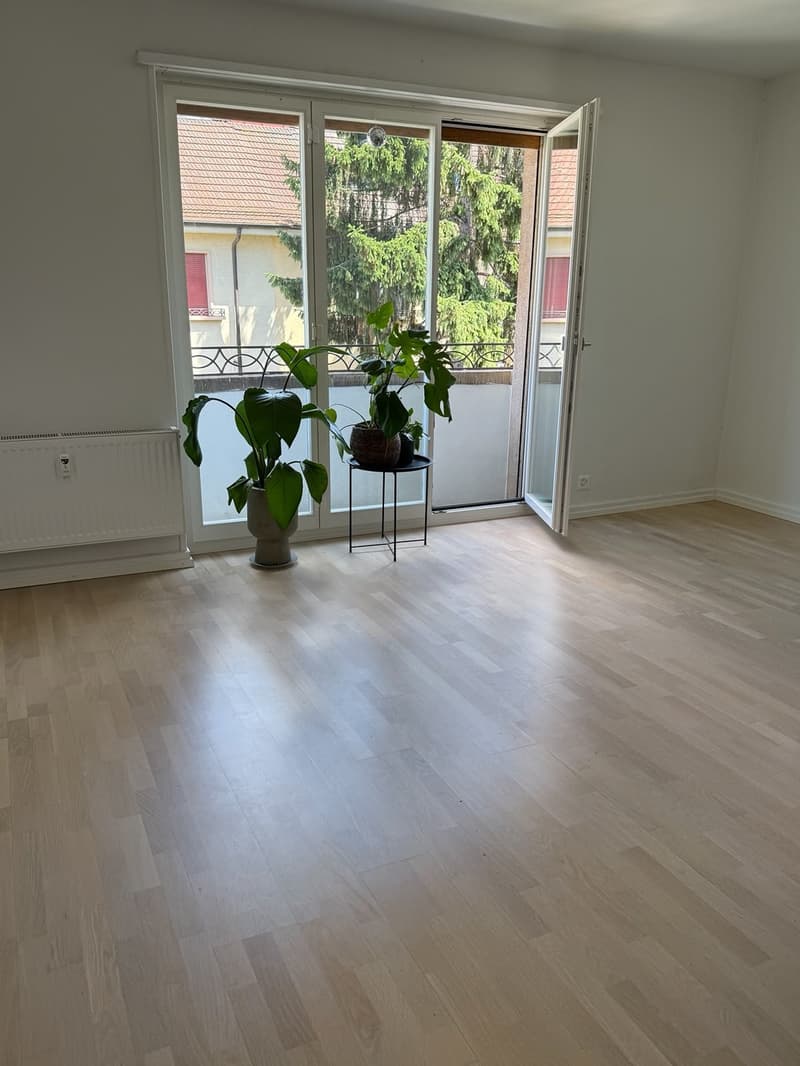 Appartement 2 pièces à louer à Bâle (7)