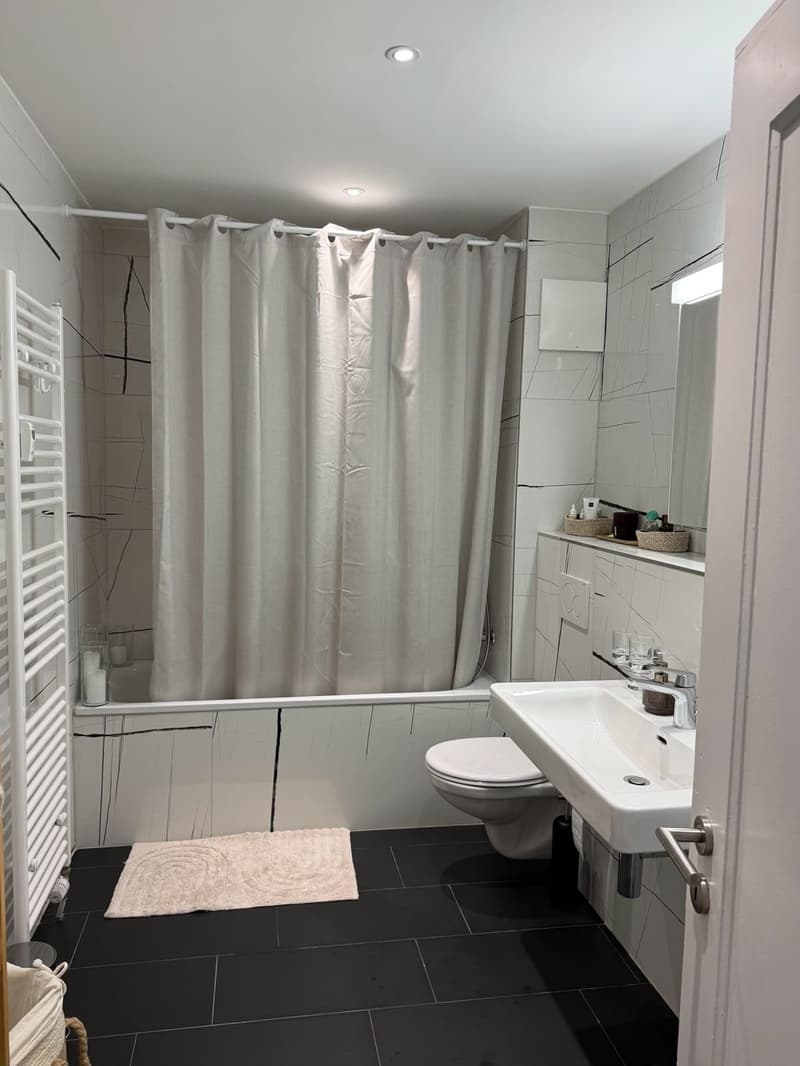 Appartement 2 pièces à louer à Bâle (8)