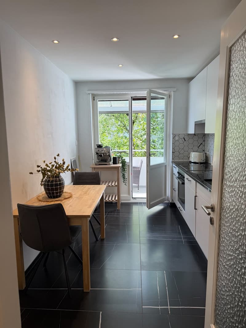 Appartement 2 pièces à louer à Bâle (3)