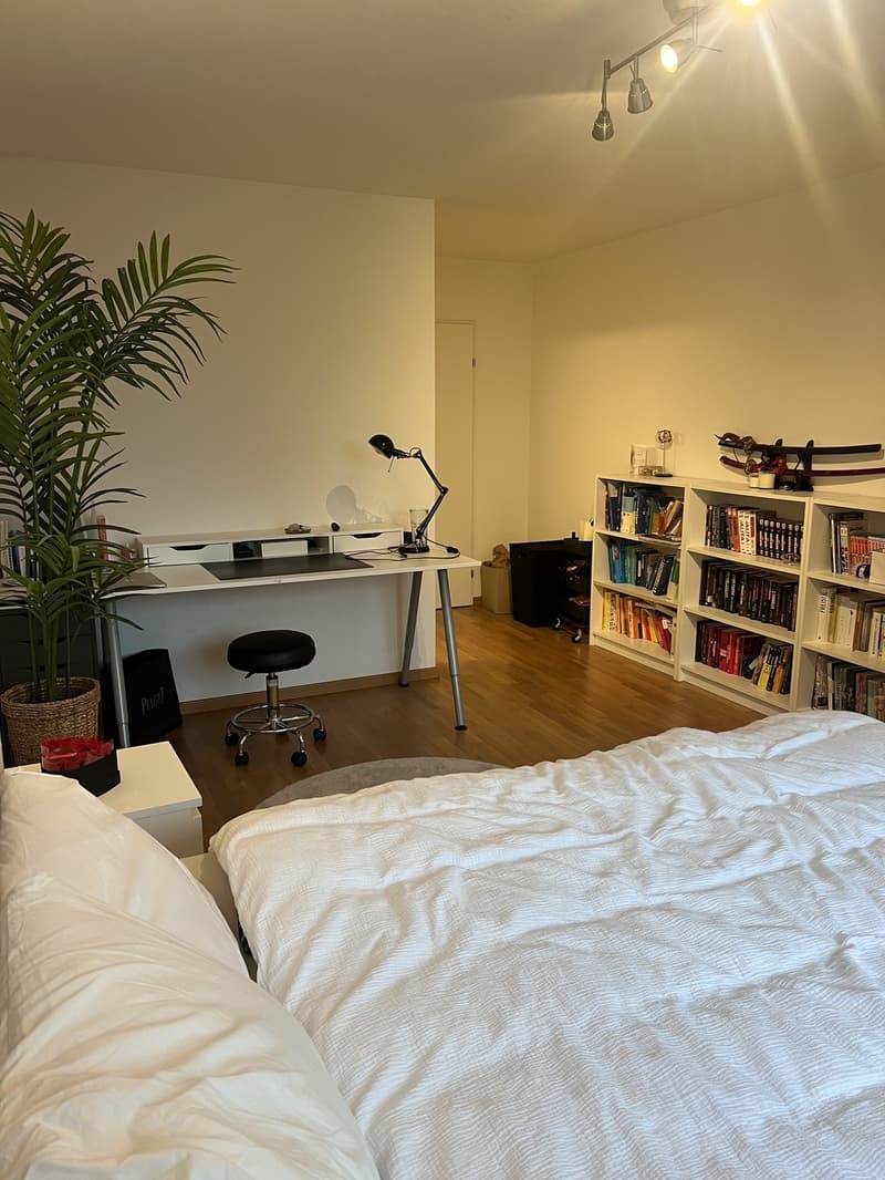 Grosse moderne 3.5 Zimmer zu attraktivem Preis (4)
