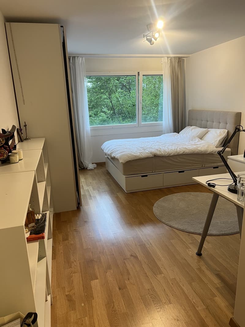 Grosse moderne 3.5 Zimmer zu attraktivem Preis (6)