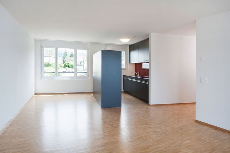 Appartamento luminoso 4.5 locali con ascensore e balcone, Rosengarten 8340 Hinwil (1)