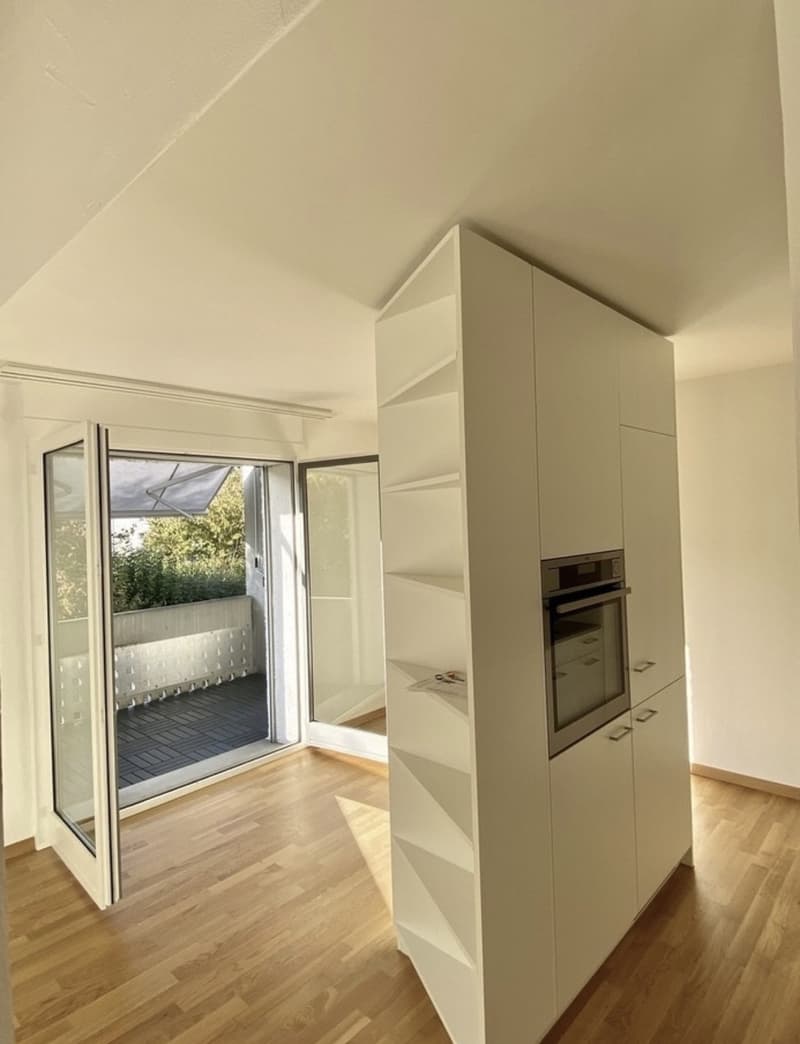 2.5 Room Apartment (2)