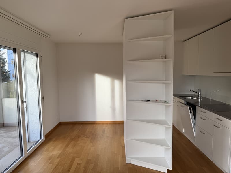2.5 Room Apartment (11)