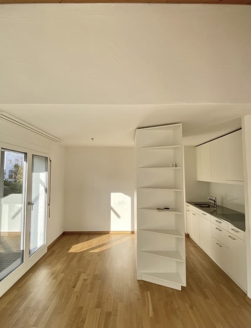 2.5 Room Apartment (3)