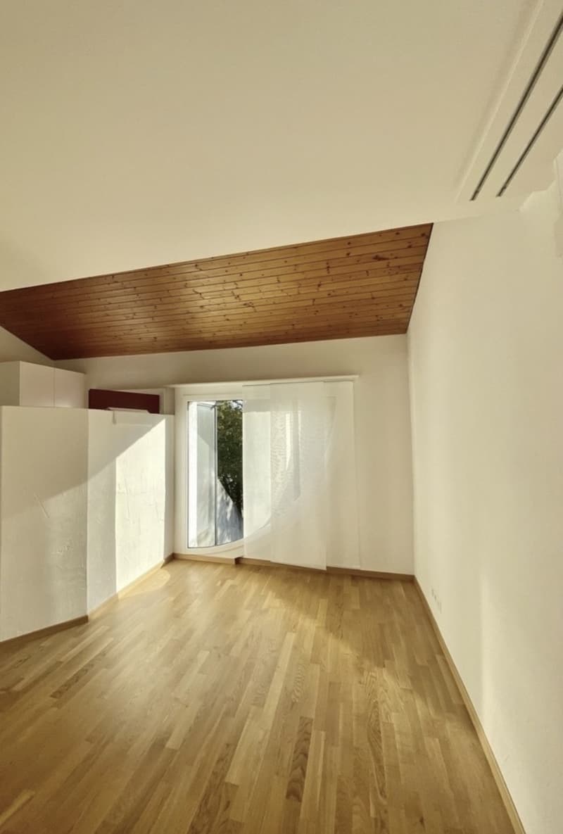 2.5 Room Apartment (1)