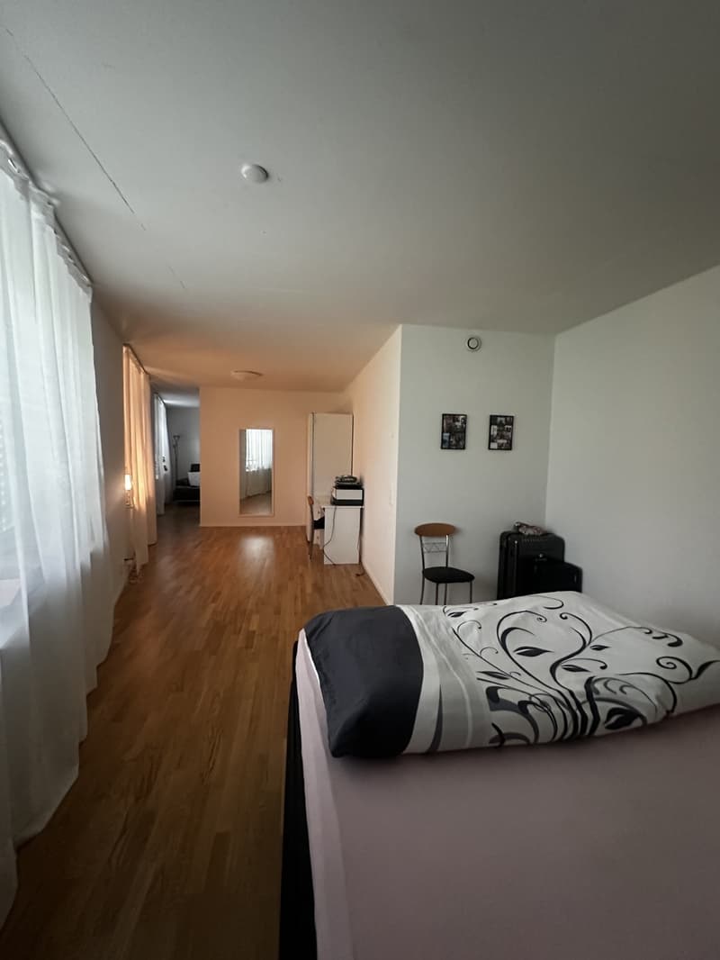 Appartamento di 3,5 locali (3)