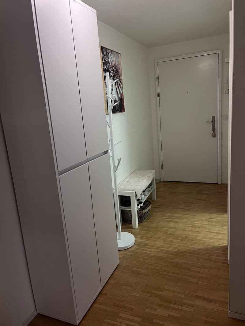 Appartement moderne 2.5 pièces dans le quartier populaire de Länggass en Bern, meublé et prêt à être occupé (7)