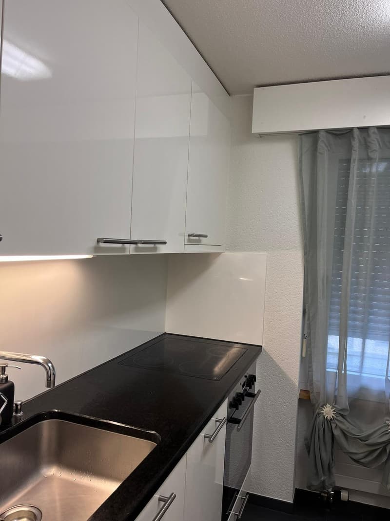 Appartement moderne 2.5 pièces dans le quartier populaire de Länggass en Bern, meublé et prêt à être occupé (1)