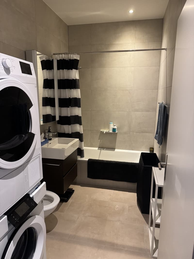 Modern 2.5 room apartment in ZH-Altstetten with great view (4)