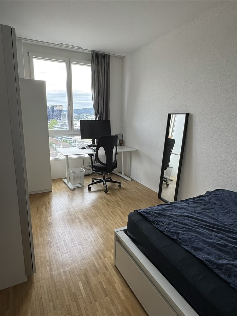Modern 2.5 room apartment in ZH-Altstetten with great view (2)