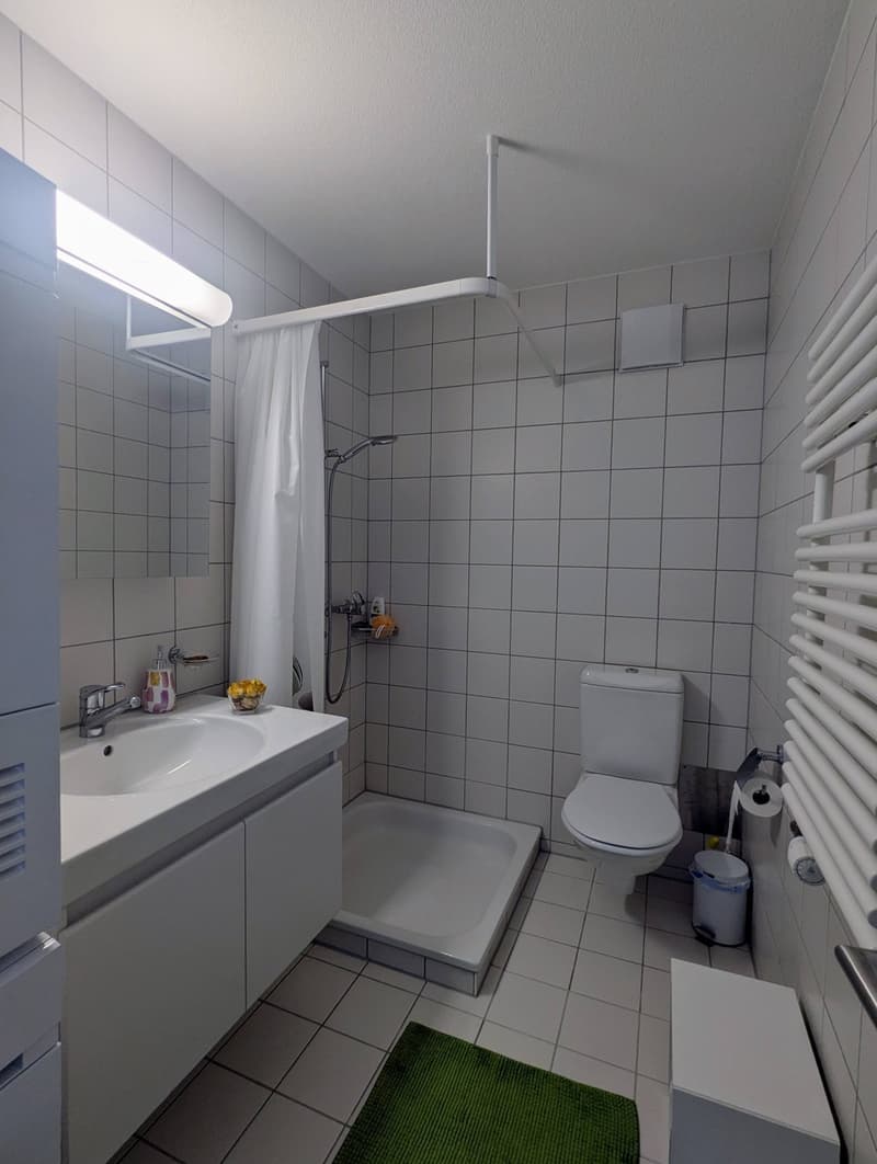 Appartement 3 ½ pièces, 8050 Zurich (10)