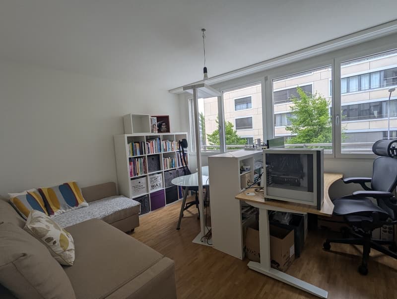 Appartement 3 ½ pièces, 8050 Zurich (7)