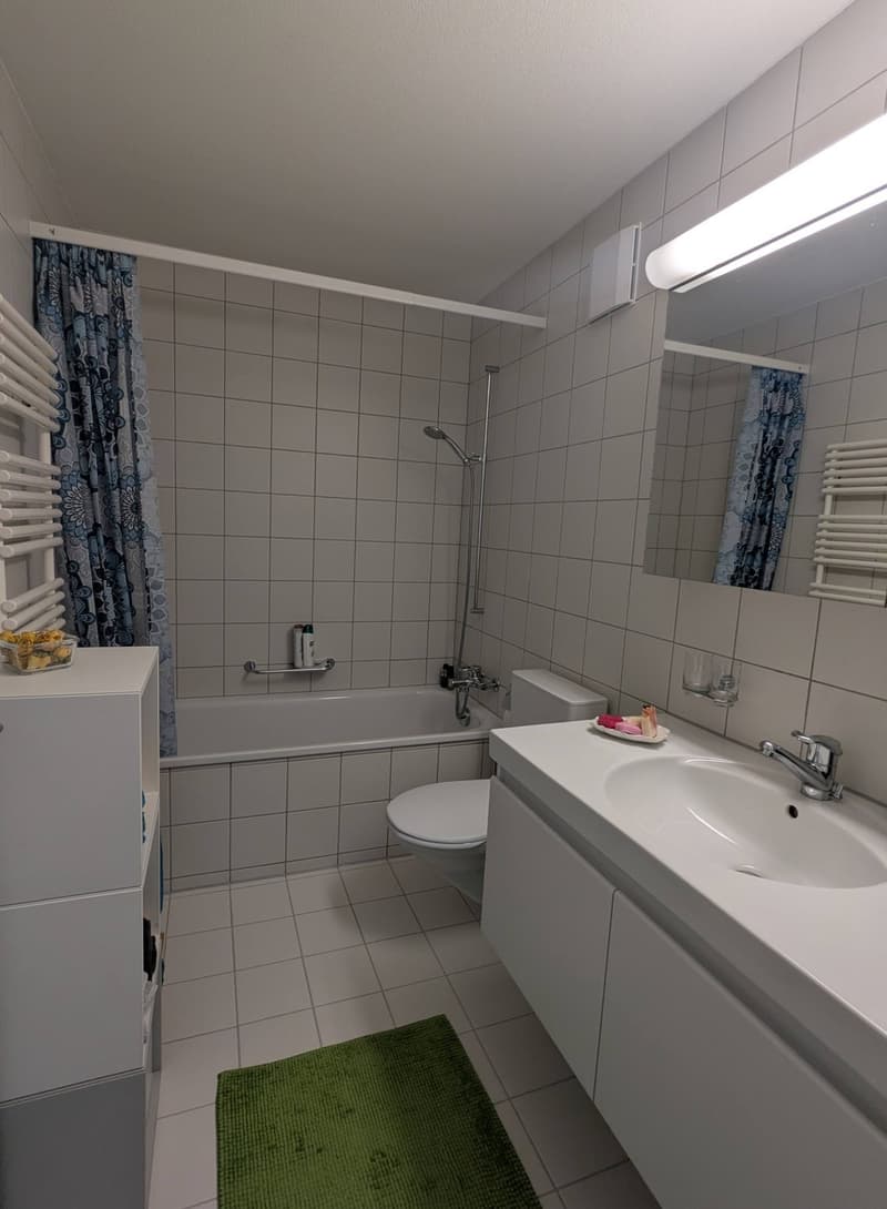 Appartement 3 ½ pièces, 8050 Zurich (9)