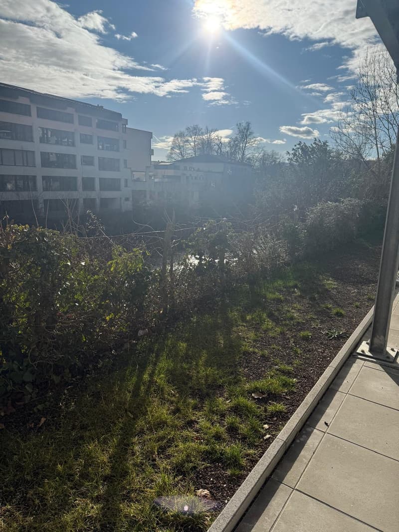Living with a wonderful view of the Aare and the old town of Brugg (2)