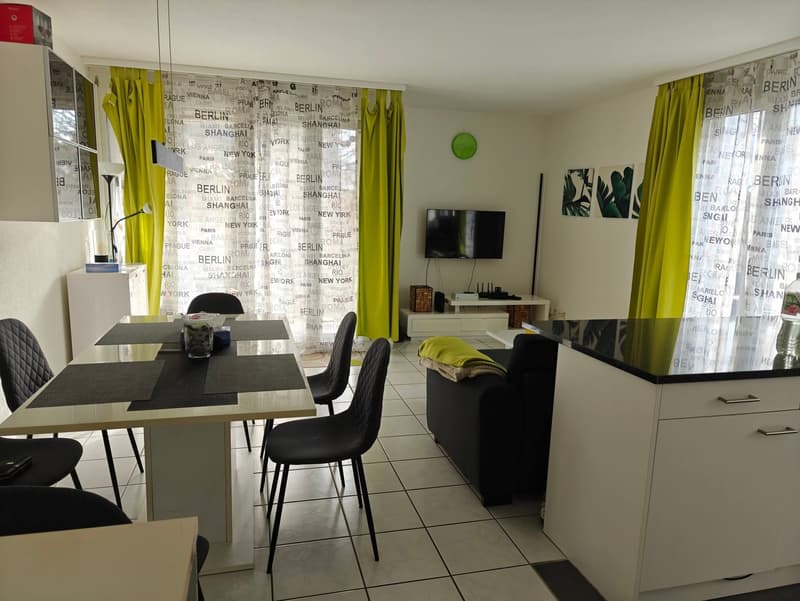 3.5-room apartment in Zurich (1)