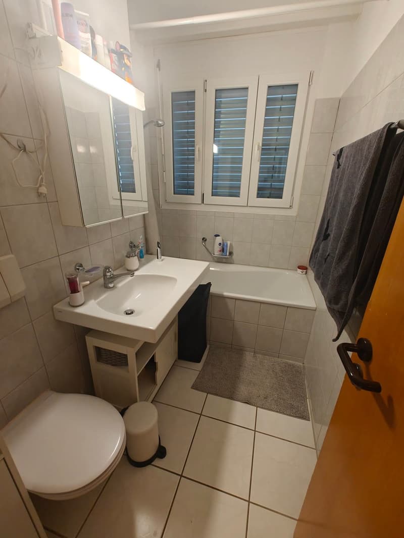 3.5-room apartment in Zurich (2)