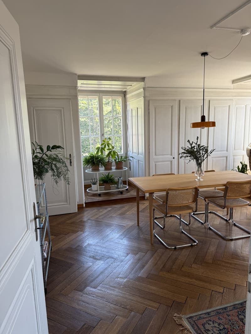 Appartamento in vecchio edificio meraviglioso a Thun (2)
