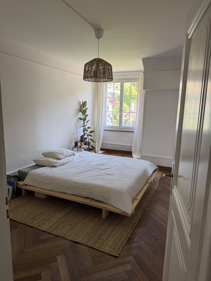 Appartamento in vecchio edificio meraviglioso a Thun (4)